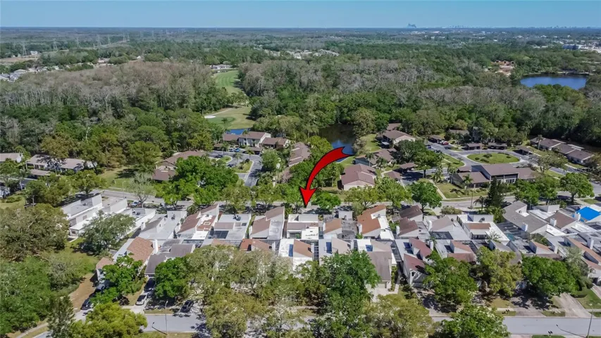 Aerial view of the neighborhood