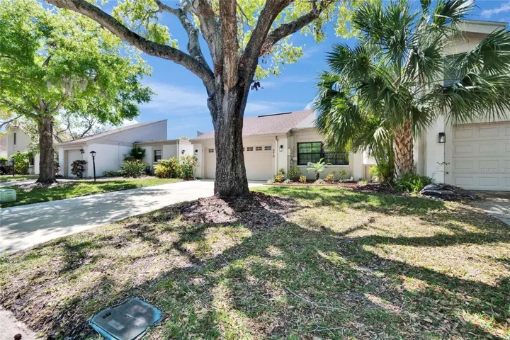 Front yard