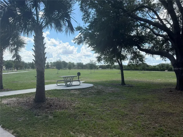 Soccer fields
