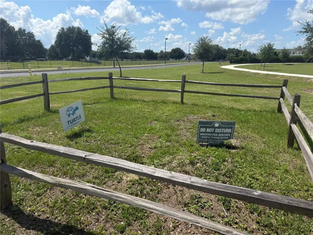Turtle habitat!
