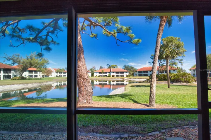 Beautiful Pond view