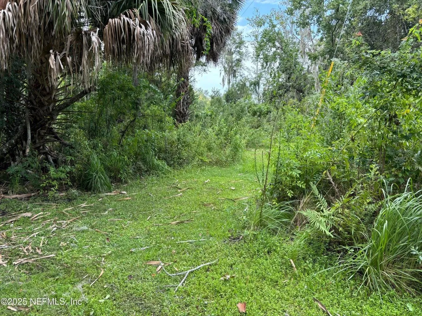 Property on Island