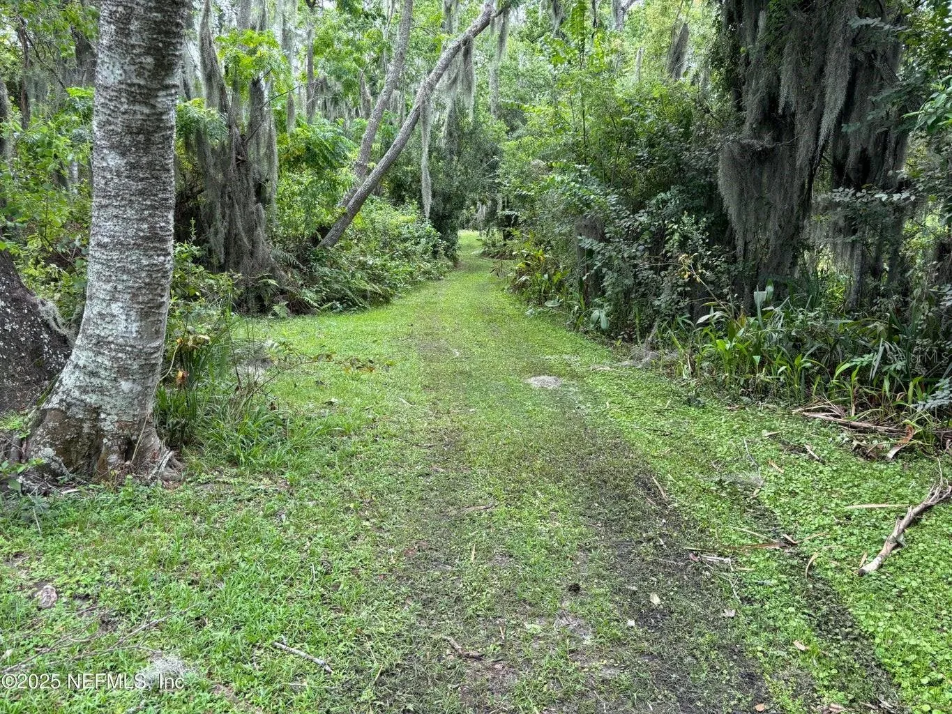 Property on Island