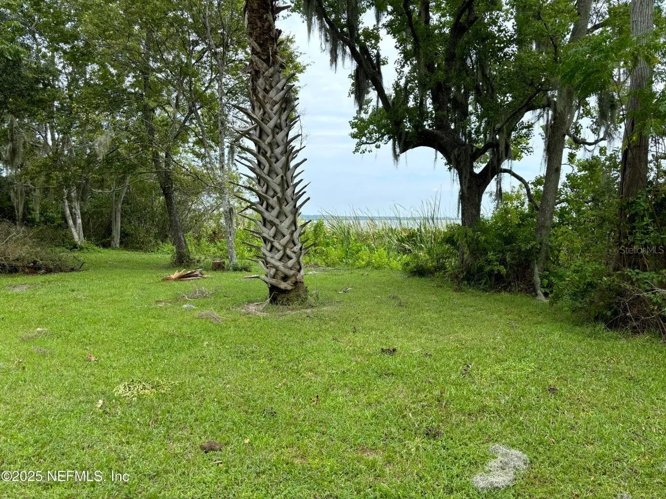 Property on Island