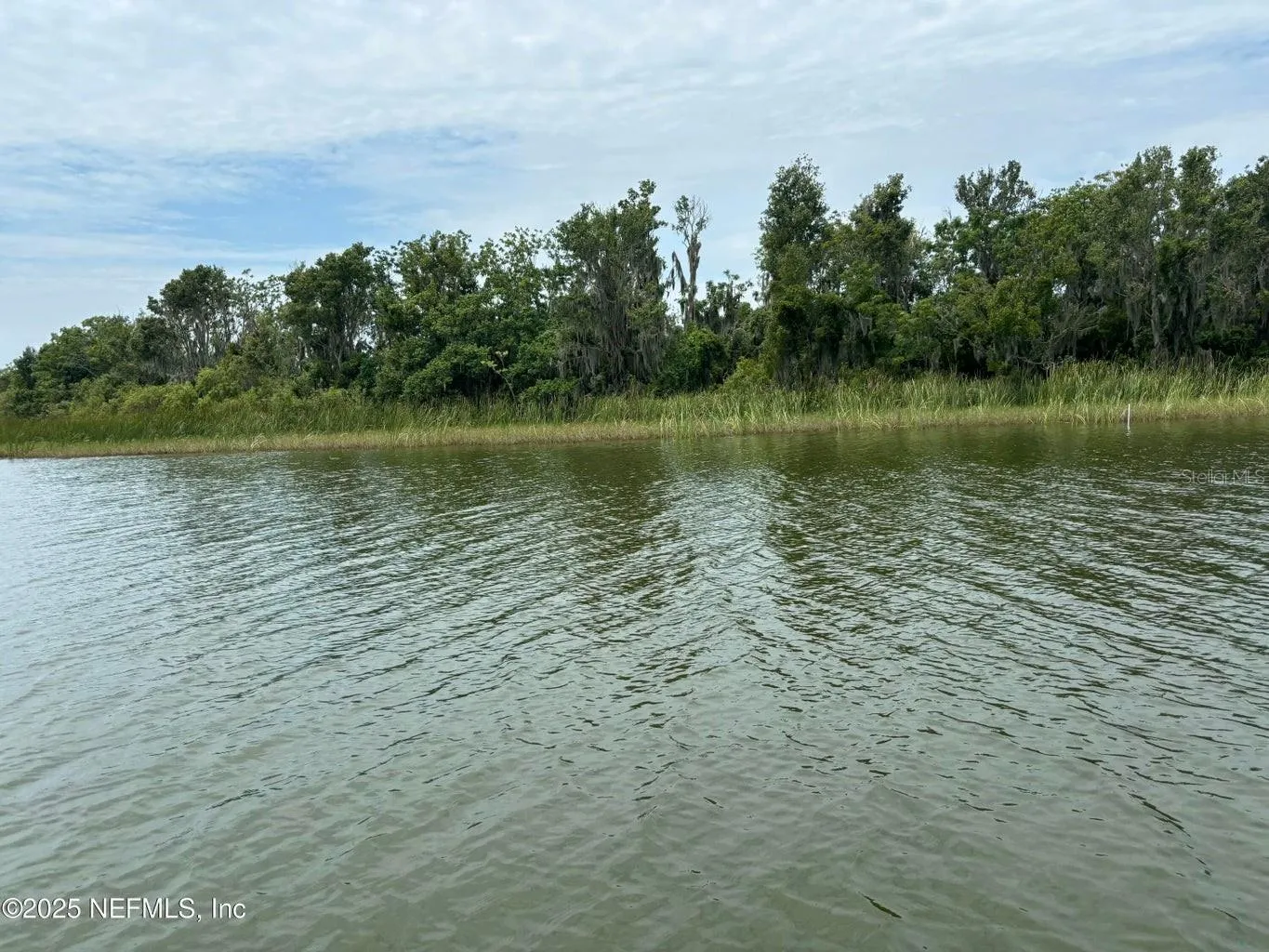 Bird Island