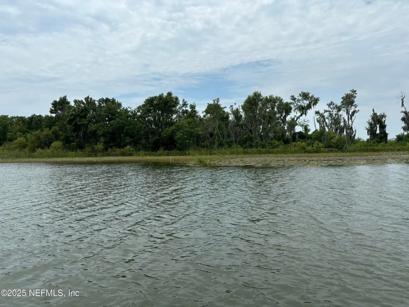 Bird Island