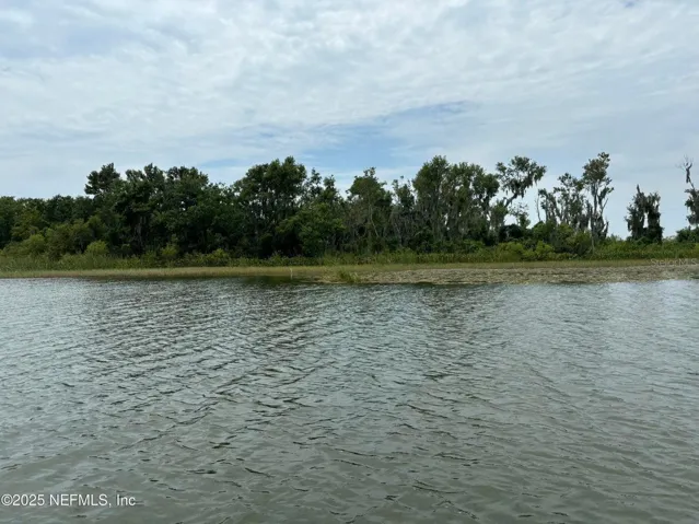 Bird Island