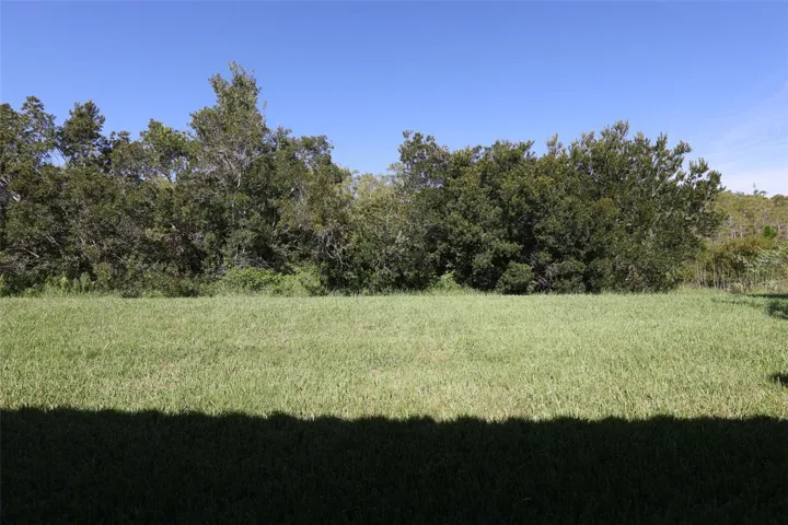 Back Yard Conservation no rear neighbors