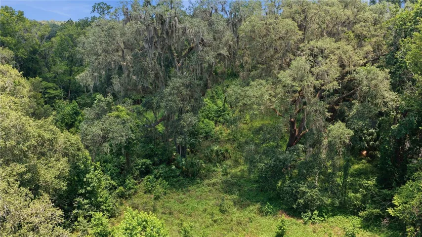 Mix of Pasture and Shade Trees