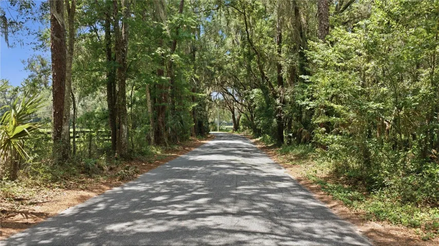 Quaint Country Road