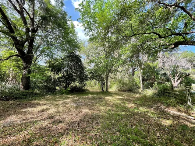 Beautiful Oaks