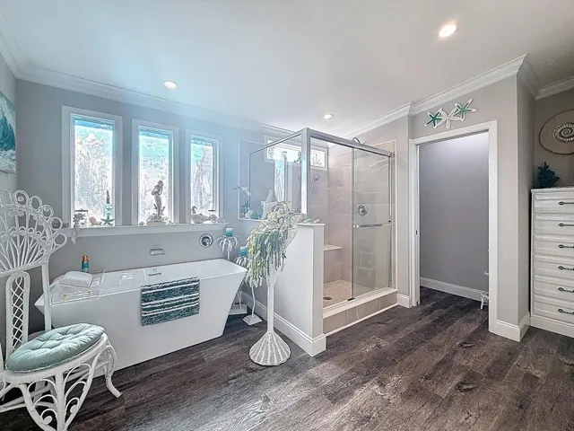Primary Walk-In Shower
