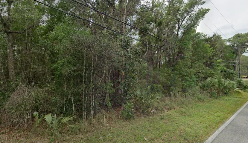 Right off Paved Reynolds Rd.