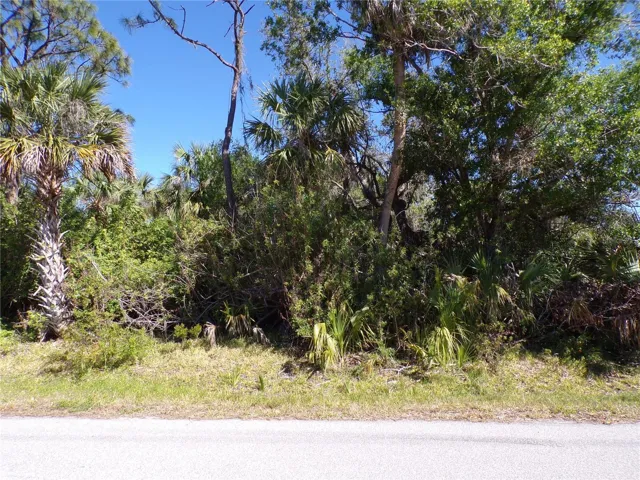 26074 Scham Rd, Punta Gorda, Florida 33955, ,Land,For Sale,SCHAM,C7507285