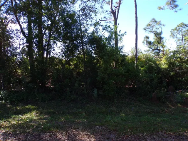26251 Hapsburg Rd, Punta Gorda, Florida 33955, ,Land,For Sale,HAPSBURG,C7507286