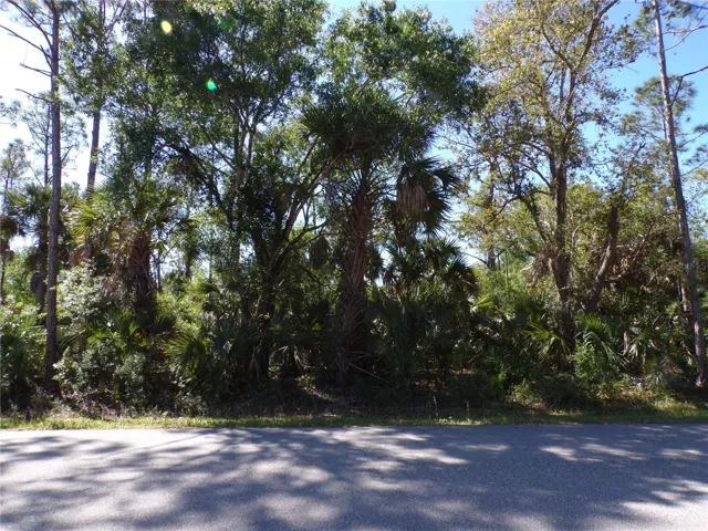 26203 Custer Rd, Punta Gorda, Florida 33955, ,Land,For Sale,CUSTER,C7507290