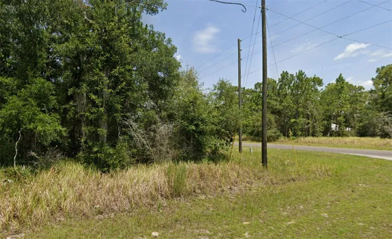 Lot 19 Locust Pass Ln, Ocala, Florida 34472, ,Land,For Sale,LOCUST PASS,C7507317