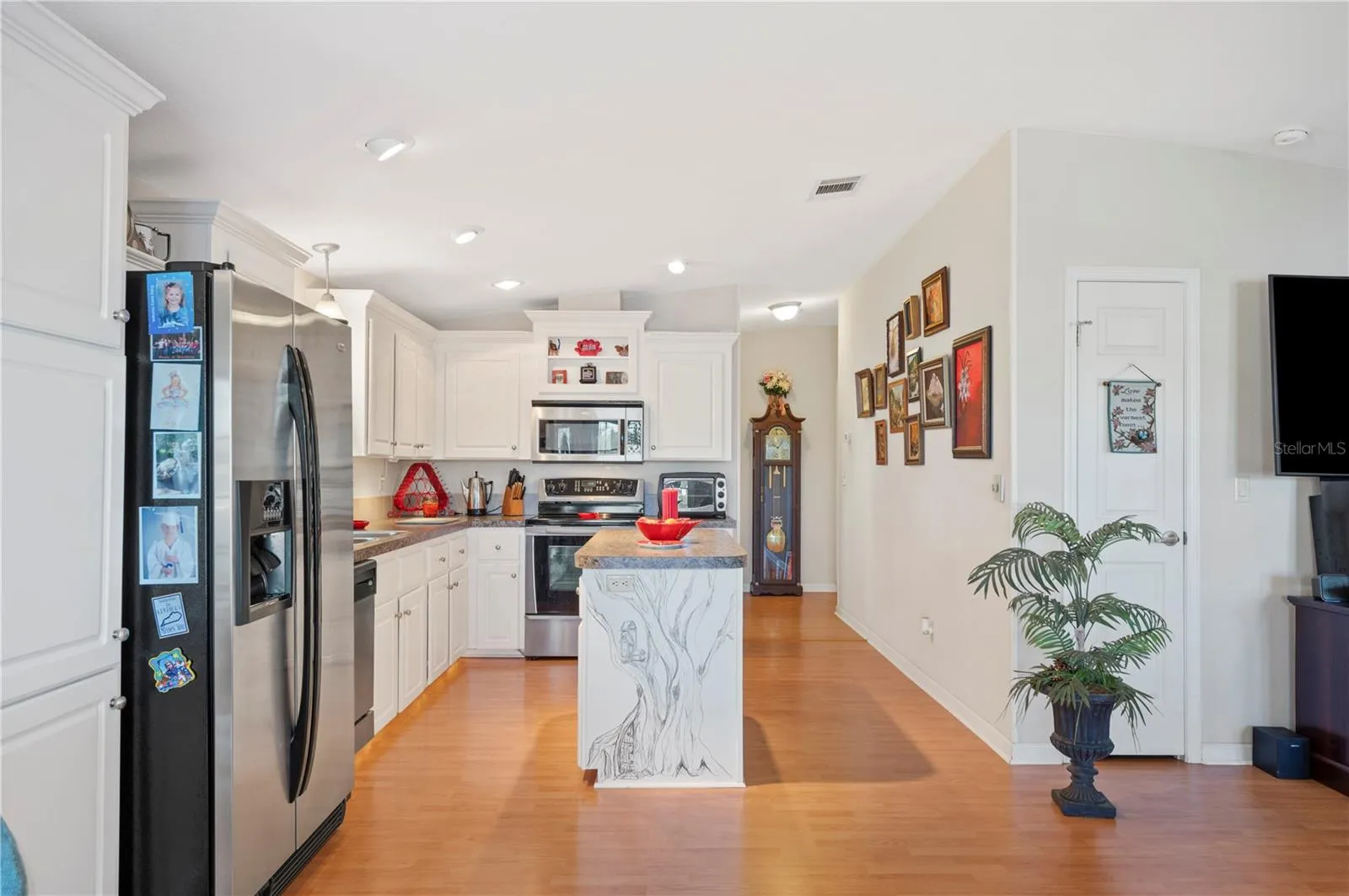 Stainless appliances