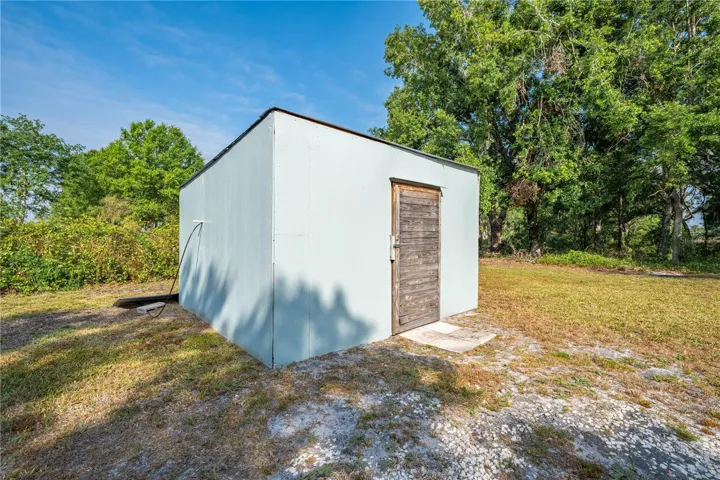 Shed in Back Yard