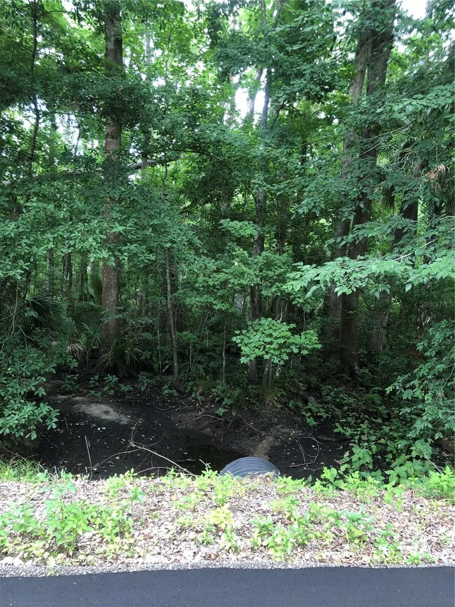 Creeks by the green poles