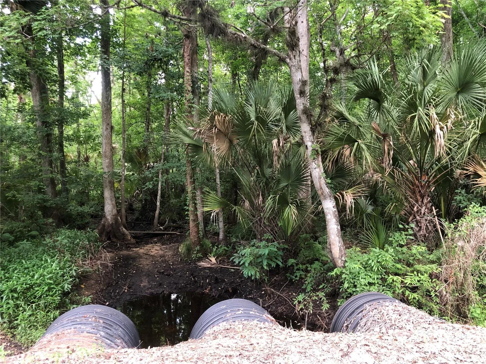 Creeks by the green poles