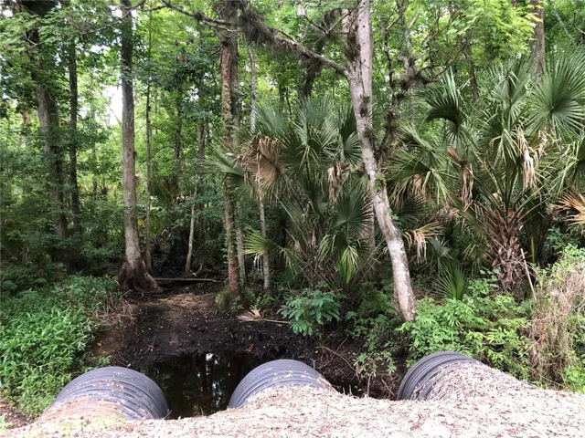 Creeks by the green poles
