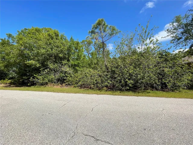 23430 Racine Ave, Port Charlotte, Florida 33980, ,Land,For Sale,RACINE AVE,C7507821