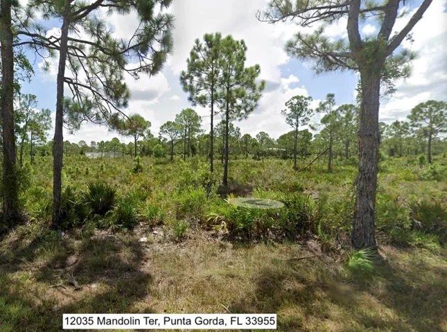 12035 Mandolin Ter, Punta Gorda, Florida 33955, ,Land,For Sale,MANDOLIN,C7507828