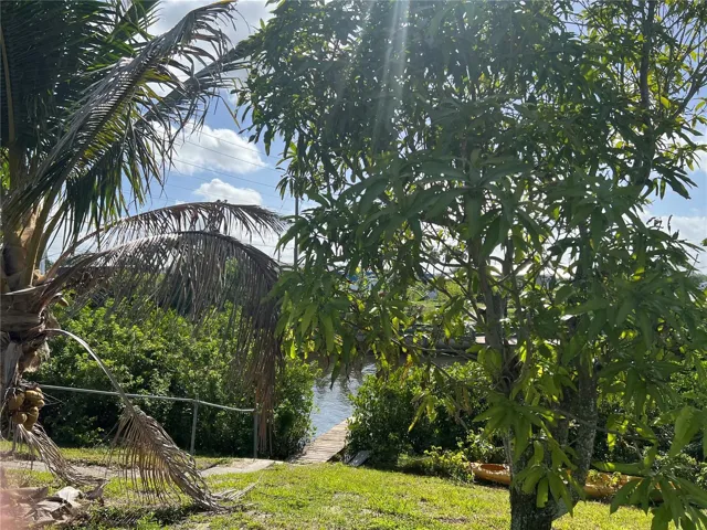 Back Yard to Dock