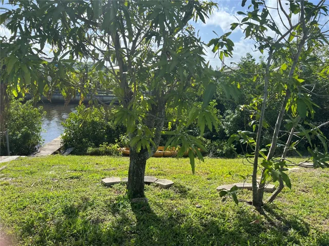 Back Yard to Dock