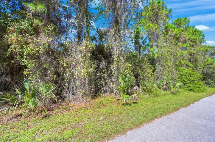 Lot 31 Merced St, North Port, Florida 34288, ,Land,For Sale,MERCED,C7508053