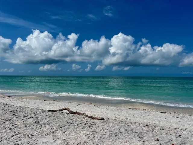 3 1/2 miles of beautiful beach to explore