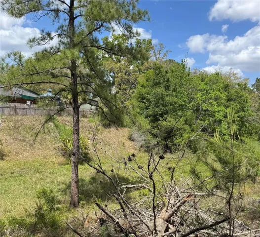 View from rear of Lot