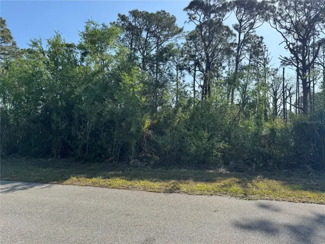 96 Westmore St, Port Charlotte, Florida 33953, ,Land,For Sale,WESTMORE,C7508135