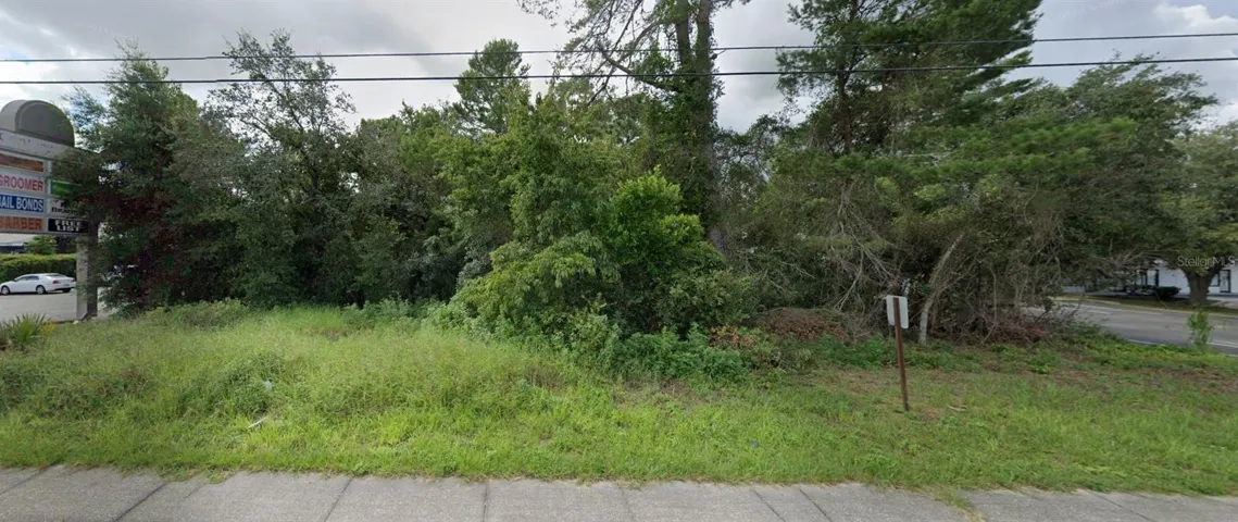 Road View