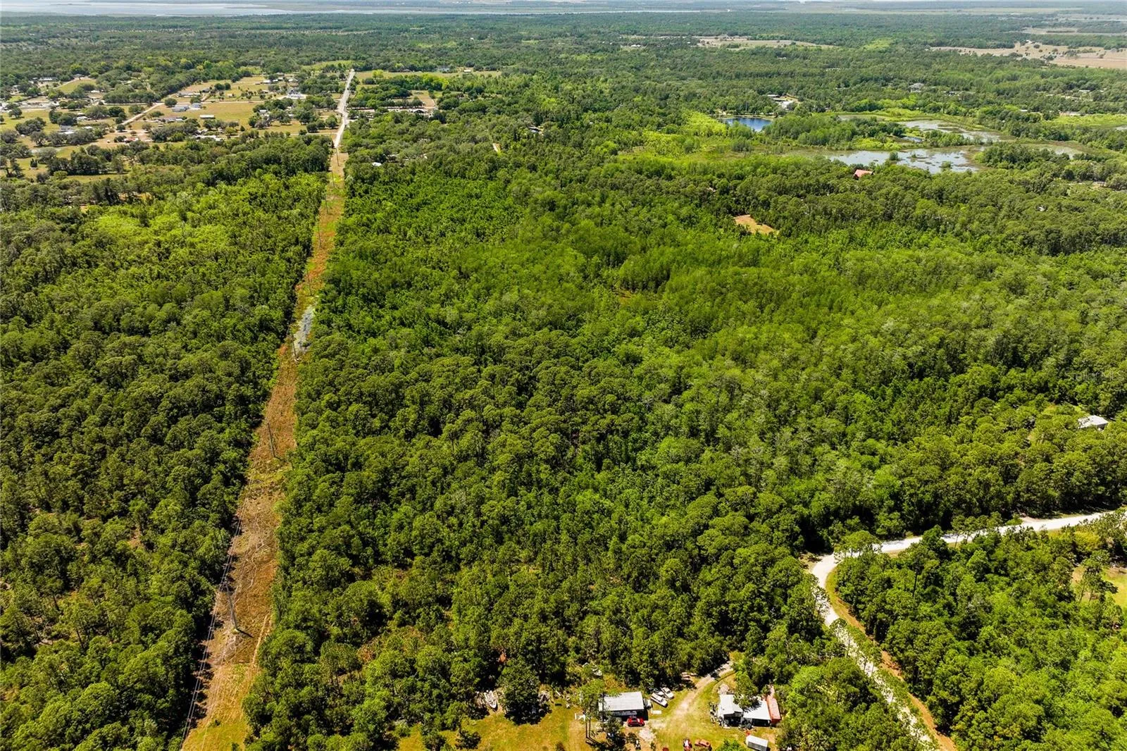 The entire parcel is wooded.    None of land is cleared.