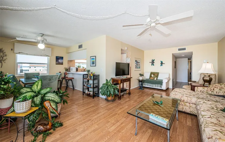 Bright Living Room, Dining Room, Kitchen