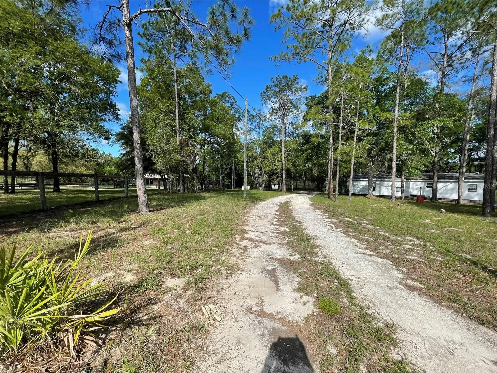 Driveway