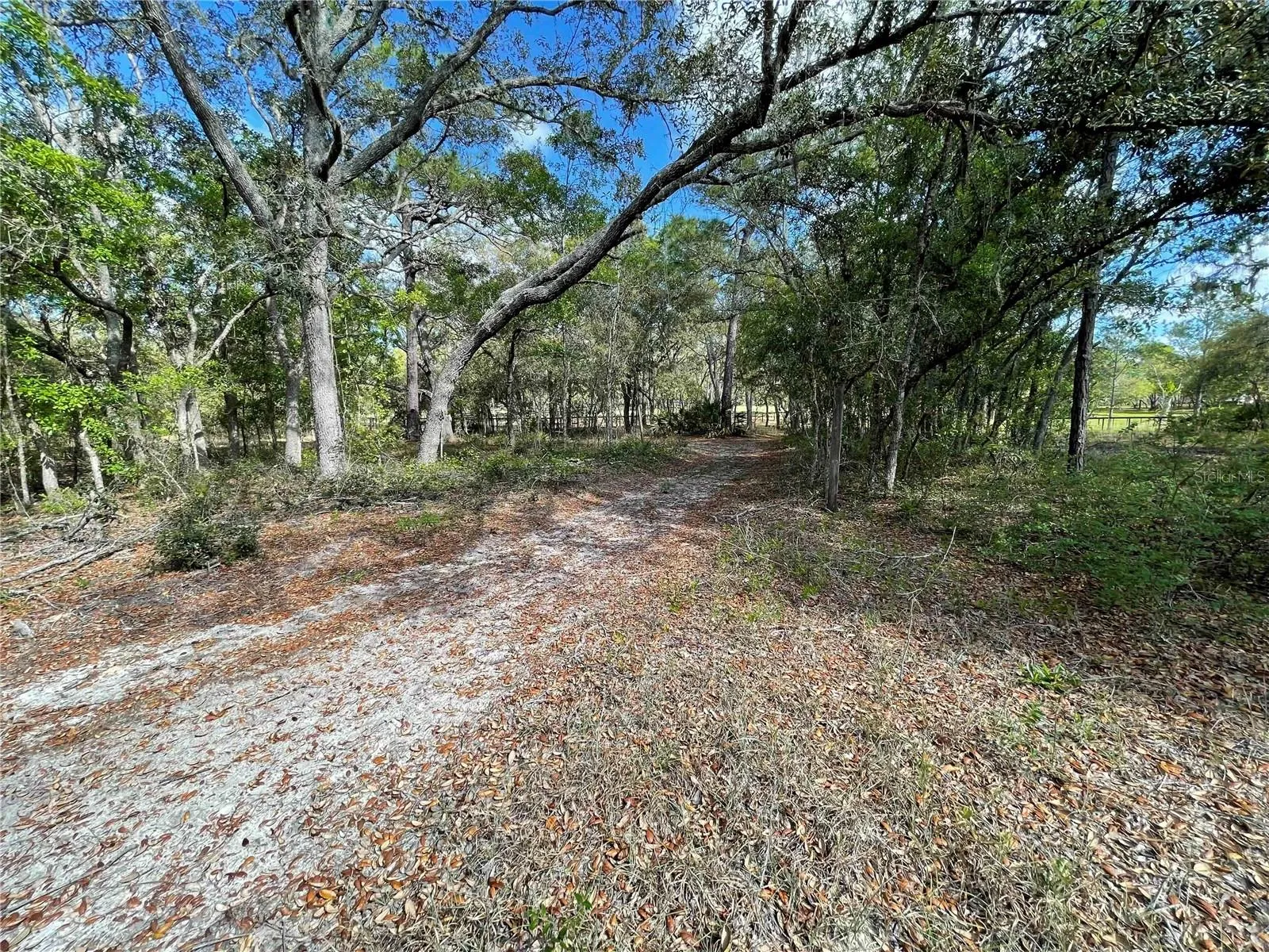 Access to the Goethe Forest on the back of the property