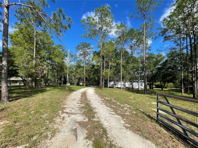 Driveway