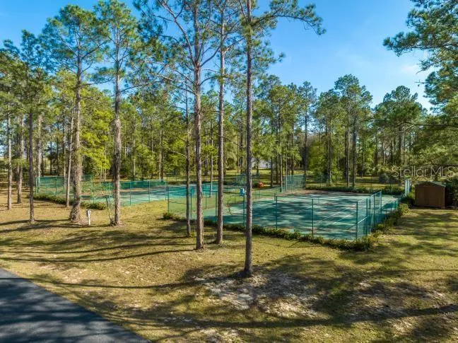 Community Tennis & Pickle Ball