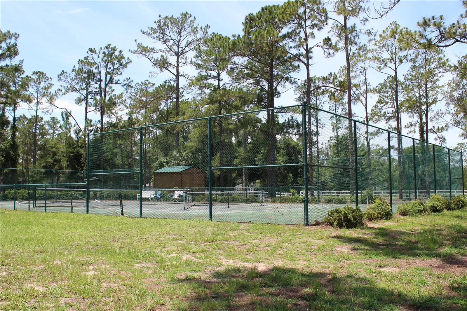 Pickle Ball