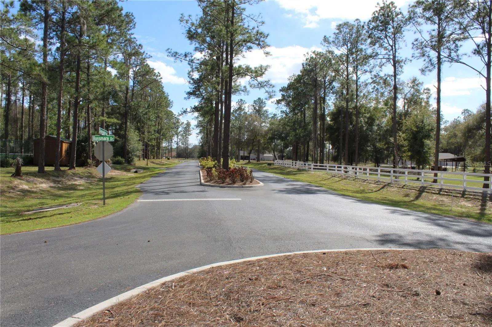 Bonsmara drive at Community enterance