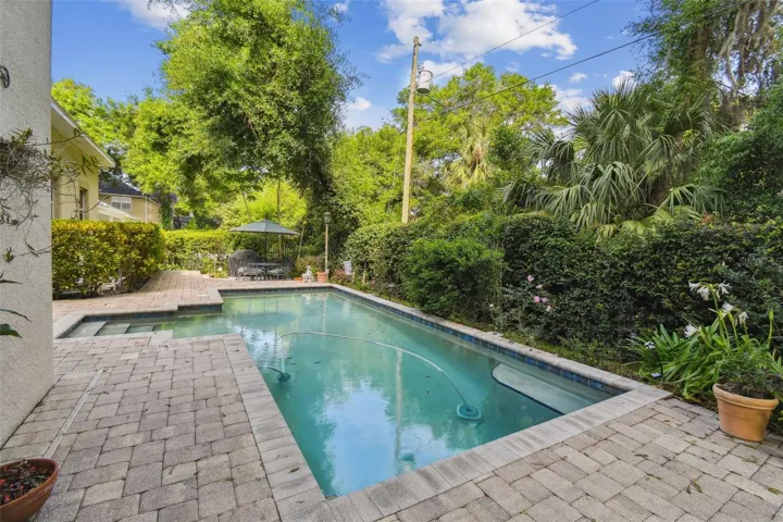 Private and lush backyard pool area with papaya trees and many flowering amaryllis plants.