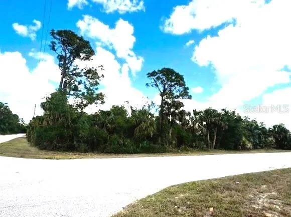 Almost 1/2 acre of Land!!
