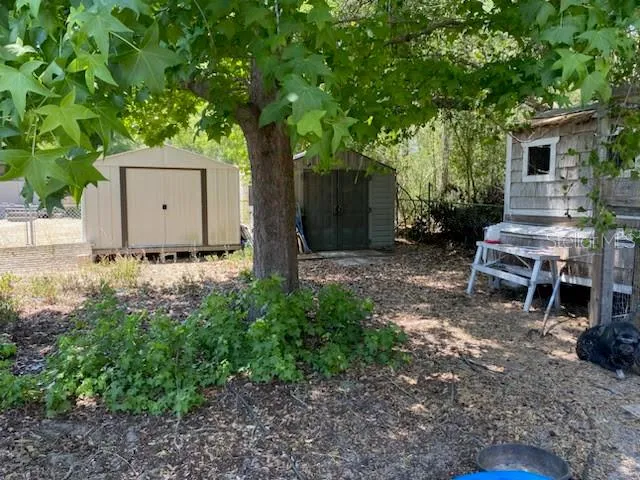 Sheds in back yard