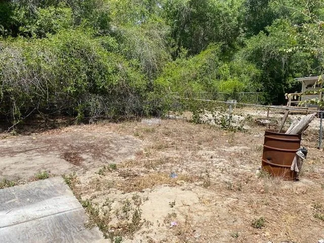 Back yard behind carport