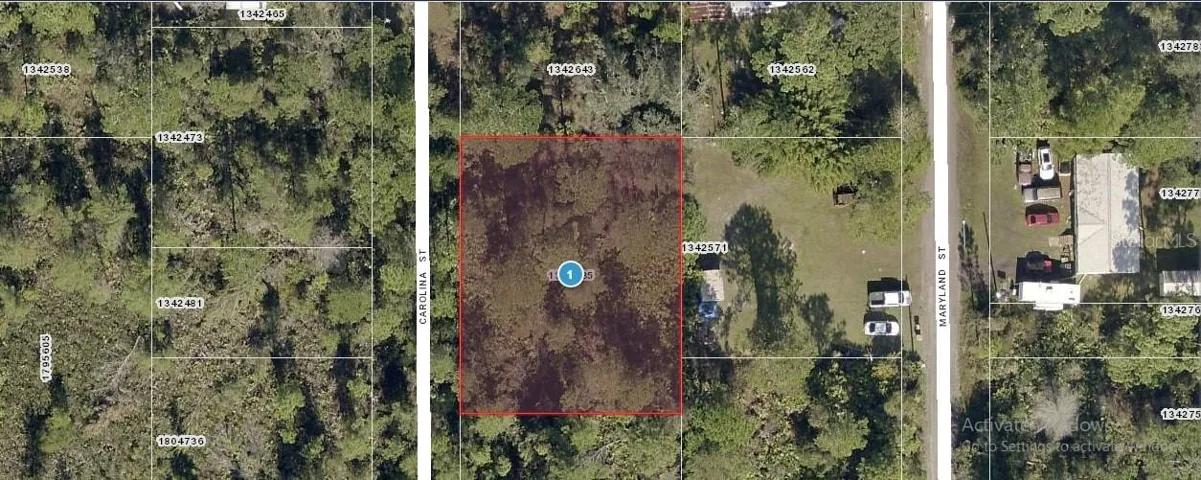Carolina St, Paisley, Florida 32767, ,Land,For Sale,CAROLINA,C7508772