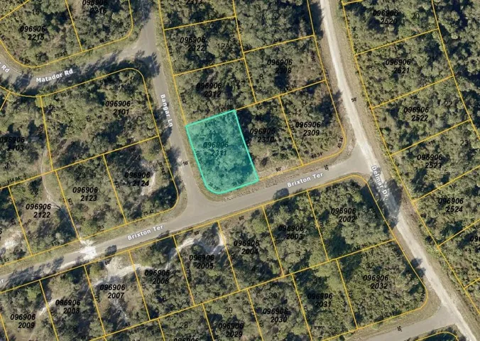 Brixton Ter, North Port, Florida 34291, ,Land,For Sale,BRIXTON,C7508777
