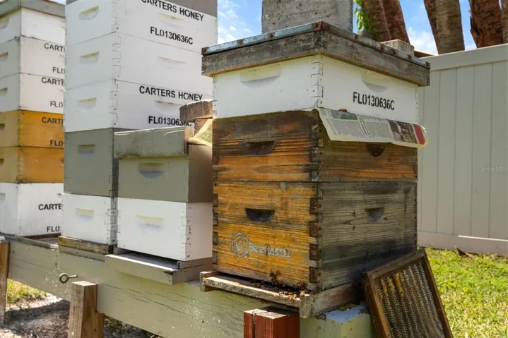 Active bee operation